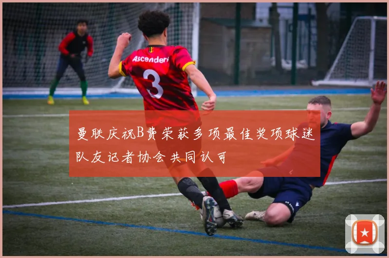 曼联庆祝B费荣获多项最佳奖项球迷队友记者协会共同认可